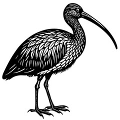 vector illustration of an eagle