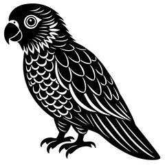 vector illustration of an owl