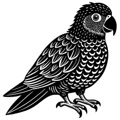 vector illustration of a bird