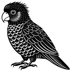 vector illustration of a bird