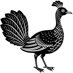 vector illustration of a chicken
