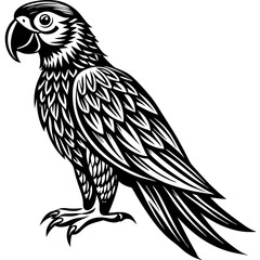 vector illustration of an owl