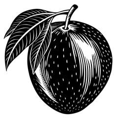 vector illustration of an apple fruit