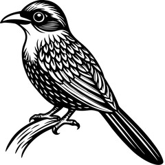 bird on a branch