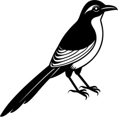vector illustration of a bird