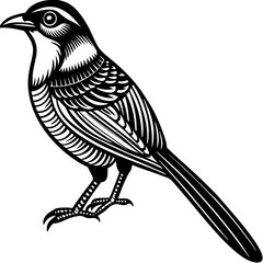 bird on a branch