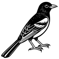 bird on a branch
