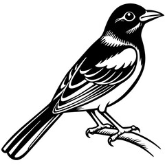 Obraz premium bird on a branch