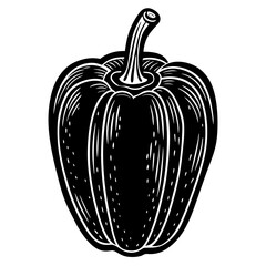 vector illustration of an apple