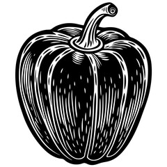 hand drawn apple