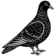 dove of peace
