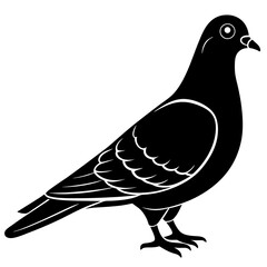 dove of peace