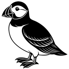vector illustration of a bird