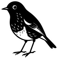 bird silhouette isolated on white