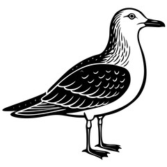 hand drawn illustration of a duck