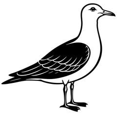 vector drawing of a bird