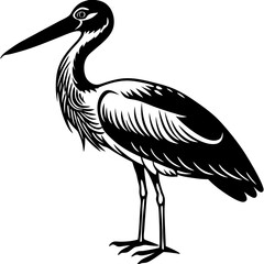 black crowned crane