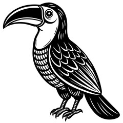 toucan on a white background