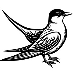 bird on a branch