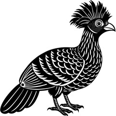 vector illustration of an eagle