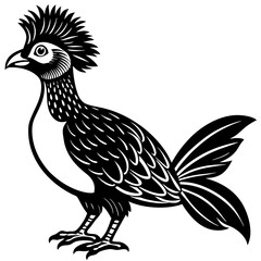 vector illustration of a bird