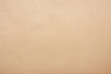 Obraz premium Recycled Paper texture background paper color.