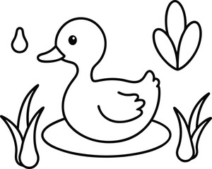 duck and ducklings