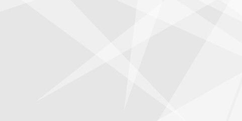 Abstract tringle white and grey luxury shape grey strips line soft pattern elegent concept for banner, poster, brochure, cut paper vector illustration.	