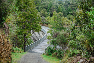 A concrete dam curves through lush green forest in Waitakere Reservoir, Waitakere, Auckland, New Zealand. The dam provides  water to the surrounding area, showcasing sustainable infrastructure.
