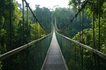 Fototapeta premium Suspension bridge through lush rainforest