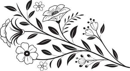 black and white line art flower illustration of various, transparent background