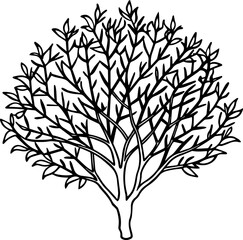  shrub outline vector illustration line art