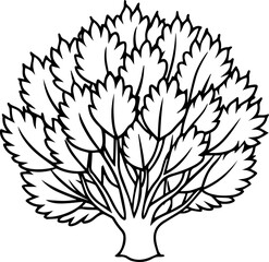  shrub outline vector illustration line art