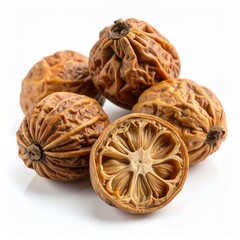 Fototapeta premium Evodia Fruit Illustration for Medicinal Use, Evodia Fruit Botanical Art, and Evodia Fruit Herbal Design