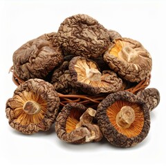 Poria Illustration for Herbal Medicine, Poria Botanical Art, and Poria Natural Remedy Design