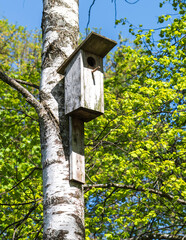 A wooden birdcage in the forest .