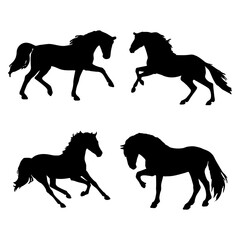 Fototapeta premium set of running horse silhouettes
