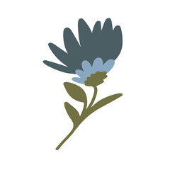 red flower on white background, red flower isolated on whiteabstract red flower, set of vector flowers, set of flower icons, set of flowers, 