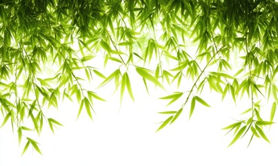 Naklejka premium Lush green bamboo leaves, nature backdrop, serenity, design element