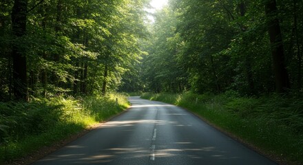 Obraz premium Photo Of Winding Road Through Lush Green Forest With Sunlight
