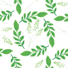 Summer patterns. Seamless grass pattern of green leaves and grass spikelets on a white  background.