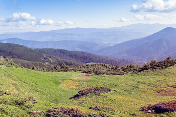 landscape of a Carpathians mountains