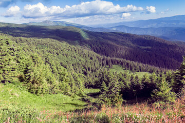 landscape of a Carpathians mountains