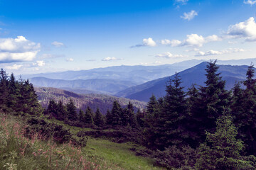 landscape of a Carpathians mountains