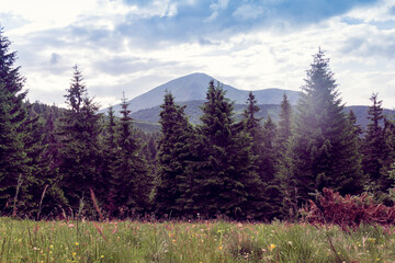 landscape of a Carpathians mountains with mountain Petros