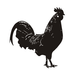 silhouette of a rooster crowing