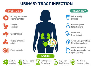 Urinary Tract Infection Medical Vector Illustration for Healthcare Education and Anatomy Awareness