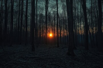 Naklejka premium Night Sunset Dream. A Mesmerizing Night sky Landscape with Sun Setting Behind Trees
