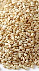 Fototapeta premium Piled tiny white sesame seeds, close-up, natural light