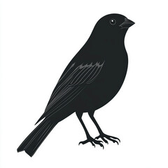 Obraz premium sparrow silhouette , black and white illustration isolated on white background